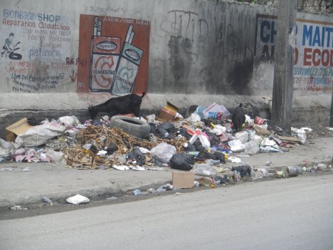 Trash goat in Port Au Prince